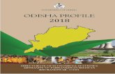 GOVERNMENT OF ODISHA - desorissa.nic.in · The information on Food and Civil Supplies, Disaster Management, Urban Development, Slum Scenario, Election and Excise are described in