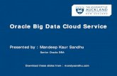 Oracle Big Data Cloud Service - MANDY SANDHU’S BLOG · • choose Oracle Big data Cloud service • Start Pack 1 –> 3 Nodes ... Oracle Big Data Cloud Service. Direct ingest into