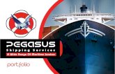 ShipServ › ShipServ › pages › ... · a e Services Owners/Husbandry Crew Changes & Marine Air Ticketing You can rely on Pegasus Pegasus ensures a smooth and punctual crew movement