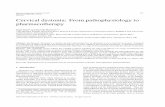 IOS Press Cervical dystonia: From pathophysiology to ... Behavioural Neurology 26 (2013) 275â€“282 275