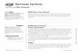 chapter 33 Nervous System - Major Wester's Website · Reading Essentials Chapter 33 Nervous System 393 Copyright © Glencoe/McGraw-Hill, a division of The McGraw-Hill Companies, Inc.