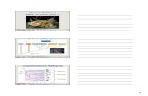Phylum Mollusca - Adam Oliver Brownadamoliverbrown.com/.../01/8-Mollusca_2018_3slides.pdf · Phylum Mollusca Miller and Harley Chap. 11 BIO2135 –Animal Form and Function MolluscaPhylogeny