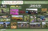 €¦ · i NCRPIS ANNUAL REPORT – 2019 TABLE OF CONTENTS . I. PROJECT TITLE