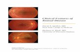 Clinical Features of Retinal Disease · Quillen DA, Blodi, BA, and Bennett TJ. Clinical Features of Retinal Disease. Quillen DA and Blodi BA, eds. Clinical Retina. Chicago: AMA Press,