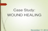Case Study: WOUND HEALING - Erin M. Green, RD · Case Study: WOUND HEALING November 17, 2014. INTRODUCTION “The problem of pressure ulcers is timeless. Despite increasing technology