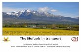 Biofuels in transport - eurosaiwgea.org...No biofuels in transport economic evaluation by Ministry of Economics An economic evaluation how the Slovak republic meet the biofuels in