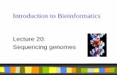 Introduction to Bioinformatics · DNA Sequencing Chain Termination Method – Sanger, 1977 – single stranded DNA, ~800b – Method: • Electrophoresis can separate DNA molecules