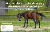 Horses, skylight, blood-sucking horse flies and white stripes › sites › default › files › IgNobel... · Horses, skylight, blood-sucking horse flies and white stripes Prof.