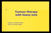 Lecturer: Kristina Meyer Tutor: Dr. José CrespoTumor therapy with heavy ions Summary • Heavy ion beams have several advantages, e. g. an inverted dose profile, a high relative biological