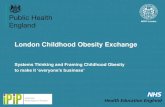 London Childhood Obesity Exchange€¦ · London Childhood Obesity Exchange ... Early years, childcare and school setttings - School meals, fruit & veg schemes, water only policy,