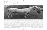 M SIGNIFICANCE SILVER REY - Gadebrook stud · CRABBET Journal • Winter 2009 MARES OF SIGNIFICANCE - SILVER GREY by Rosemary Archer SILVER GREY was one of the crop of foals born