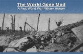 The World Gone Mad · Jutland Results German tactical victory British lost 6 major ships, 6274 men, and 8 destroyers Germans lost 2 major ships, 2545 men, and 4 light cruisers. Complete