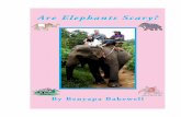 Are Elephants Scary?s_Elephant_Report.pdf · nose makes people think of elephants. For example, the elephant seal has a very long nose and is even named after the elephant, but it