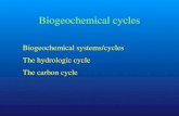 Biogeochemical systems/cycles The hydrologic cycle The ... of... · Biogeochemical systems/cycles The hydrologic cycle. The carbon cycle. Cycles • A cycle is a sequence of events