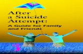 After A Suicide Attempt for Family · There are many reasons that people attempt suicide; there is no single, simple explanation. When life seems overwhelming, when despair overcomes