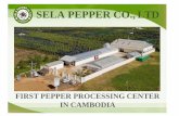 SELA PEPPER CO.,LTD...Company Name SELA PEPPER Co.,LTD Year Established 2015 Type of Business Black pepper manufacturing and export. General Manager Ms. Soeng Sopha Number of Employees