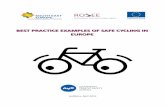 AVP WP5 Best practice examples of safe cycling in Europe › transport › sites › transport › ... · 6 / 29 1.211..221.2SharrowSharrow Sharrow is shared lane marking and comes