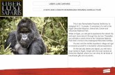 DRAG HIGH RES!HEROIMAGE TOFIT!HERE!! *PLEASEENSURE … › wp-content › ... · This 4 day Remarkable Rwanda Gorilla tour is designed for 2 - 6 people. It comprises of a visit to