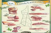 Neck Shoulder Blad AMIC · Neck Shoulder Blad AMIC Breast Bors ("ribbetjie") Thick rib Chump Kruis Loin Lende Flank Lies 9 Leg and shank Boud en skenkel South African Meat Industry