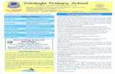Cobdogla Primary School€¦ · Cobdogla Primary School Providing a aring & hallenging Environment Principal - David Ness Governing ouncil hairperson ... make up an important part