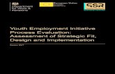 Youth Employment Initiative Process Evaluation: Assessment ... ... Youth Employment Initiative Process