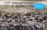 p14-17 MSJROS 12D9N Great Migration Tanzania & Kenya · 2019-01-22 · 12D9N GREAT MIGRATION OF TANZANIA & KENYA 16 Exotic | EU Holidays ZEBRAS AND WILDEBEESTS WALKING BESIDE THE