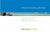 Understanding Stroke - Microsoftengonetbl.blob.core.windows.net/assets/uploads/files... · 2015-07-29 · BrainLink is a non-profit organisation that provides information and a range