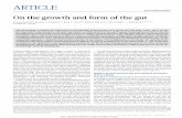 On the growth and form of the gut - USTCstaff.ustc.edu.cn/~hyliang/On the growth and form of the gut.pdf · On the growth and form of the gut Thierry Savin1{*, Natasza A. Kurpios2{*,