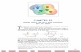 Organic Chemistry/Fourth Edition: e-Text...the chemistry of amino acids, peptides, and proteins. Amino acids are carboxylic acids that contain an amine function. Under cer-tain conditions