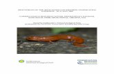PROCEEDINGS OF THE APPALACHIAN SALAMANDER … · 2013-05-15 · Smithsonian’s National Zoological Park and IUCN’s Conservation Breeding Specialist Group. We assembled a multi-disciplinary