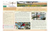 Texas Master Naturalist Sweet Shenanigans · 2017-12-15 · Various sources for my information include Sibley’s Field Guide to Birds, Eastern North America; A Guide to Field Iden-tification