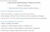 Lung Cancer Epidemiology / Tobacco Controlitocd.pekkip-congress.com/.../sites/6/...neuberger.pdf · Chen et al. 2015. Lancet 386: 144 lung cancer 1.95 (1.68 - 2.26) lung cancer 2.58