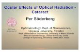Ocular Effects of Optical Radiation - Cataract Per Söderberg · eye lids, the conjuctiva, the cornea, the uvea and the lens. - Light causes photochemical damage in the retina If