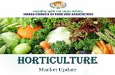 Market Update - icfa.org.in › assets › doc › reports › 4798717... · Global Fruits and Vegetables Production, Area and Productivity; 2013-14 Vegetables account 63.92% share