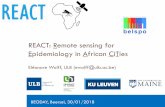 REACT: Remote sensing for Epidemiology in African CiTies•Spatial epidemiology of human diseases (in particular vector-borne) •Spatial statistical modelling •Population distribution