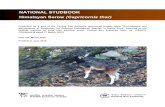 Grey NATIONAL STUDBOOK Himalayan Serow (Capricornis thar)cza.nic.in/uploads/documents/studbooks/english... · The Himalayan serow (Capricornis thar) is a medium-sized goat like antelope,
