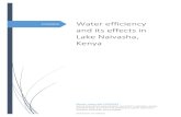 Water efficiency and its effects in Lake Naivasha, Kenya · 2014-08-08 · Preface In Naivasha, Kenya, most hydrologic data about water abstractions is already known. It was my task