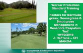 Worker Protection Standard Training Factors for Bermuda ... · Goose Grass Control & SP Greens Renovation. Comprehensive Elimination of Goose grass on greens requires control of seedlings.