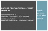 FOREST PEST OUTREACH: WHAT WORKS? …...Love of nature & trees. Valuing & preserving a sense of place. ALB in Worcester, Massachusetts. Compatible with profession. Logical addition
