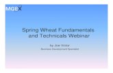 Spring Wheat Fundamentals and Technicals Webinar€¦ · Spring Wheat Fundamentals . and Technicals Webinar. by Joe Victor. Business Development Specialist ... Ken Shaleen, President,