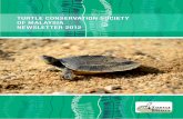 TURTLE CONSERVATION SOCIETY OF MALAYSIA NEWSLETTER …€¦ · Turtle Conservation Society of Malaysia Newsletter 2012 edition Introducing our Flagship Species The Turtle Conservation