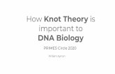 How Knot Theory is important to DNA Biology · 6/3/2020  · Sources Adams, Colin C. The Knot Book. American Mathematical Society, 1994. Beals, M., et al. "DNA And Knot Theory." The