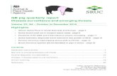 GB pig quarterly report - gov.uk...GB pig quarterly report Disease surveillance and emerging threats Volume 23: Q4 – October to December 2019 Highlights African Swine Fever in South