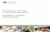Surviving or Thriving in Economic Recession: Strategies of ... Surviving or Thriving.pdf · The recession that began in 2008 has taken a toll across all sectors of the global economy,