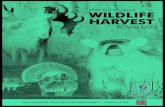 2019 New Hampshire WILDLIFE HARVEST · 2019 NEW HAMPSHIRE WILDLIFE HARVEST SUMMARY • 5 New Hampshire’s 2019 deer season resulted in a total harvest of 12,306, resulting in the