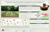 Organoleptic quality of Ethiopian Arabica coffee deteriorates with … › alfresco › s › d › workspace... · 2019-07-02 · Influence of forest management intensity on Arabica