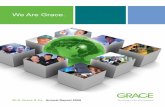 We Are Grace. · Grace has two operating segments, Grace Davison and Grace Construction Products. Grace Davison includes three product groups, while Grace Construction Products is