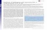 Synthesis of phylogeny and taxonomy into a … › faculty › dhibbett › Reprints PDFs...Synthesis of phylogeny and taxonomy into a comprehensive tree of life Cody E. Hinchliff