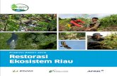 Progress Report 2018 Restorasi Ekosistem Riau · 2019-06-14 · Restorasi Ekosistem Riau (RER) welcomes this injection of global impetus - which builds on Indonesia’s own action