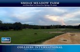 SMOAK MEADOW FARM - LoopNet › d2 › oCViS8dbUilfT9btHwAgjJ6CBsXC… · The Smoak Meadow Farm is located within the path of growth in Central Clay County. Two DRI’s, Saratoga